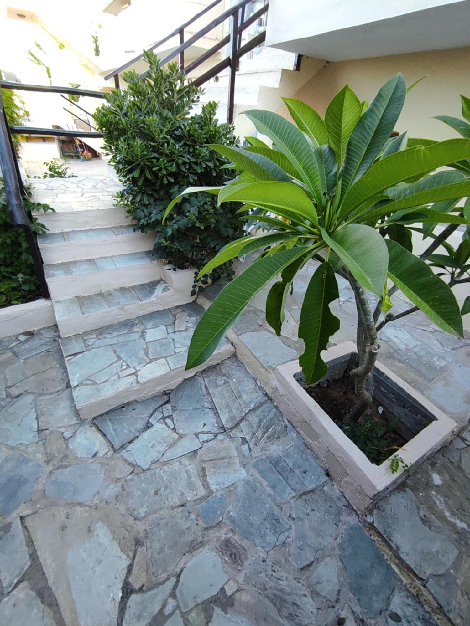 Dedalos N3 Sea View Apartment-30 Metres From The Beach Stalida エクステリア 写真