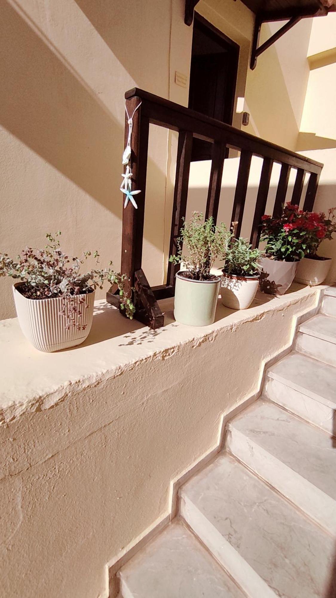 Dedalos N3 Sea View Apartment-30 Metres From The Beach Stalida エクステリア 写真