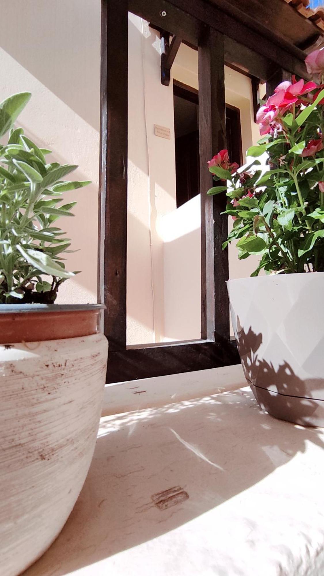 Dedalos N3 Sea View Apartment-30 Metres From The Beach Stalida エクステリア 写真