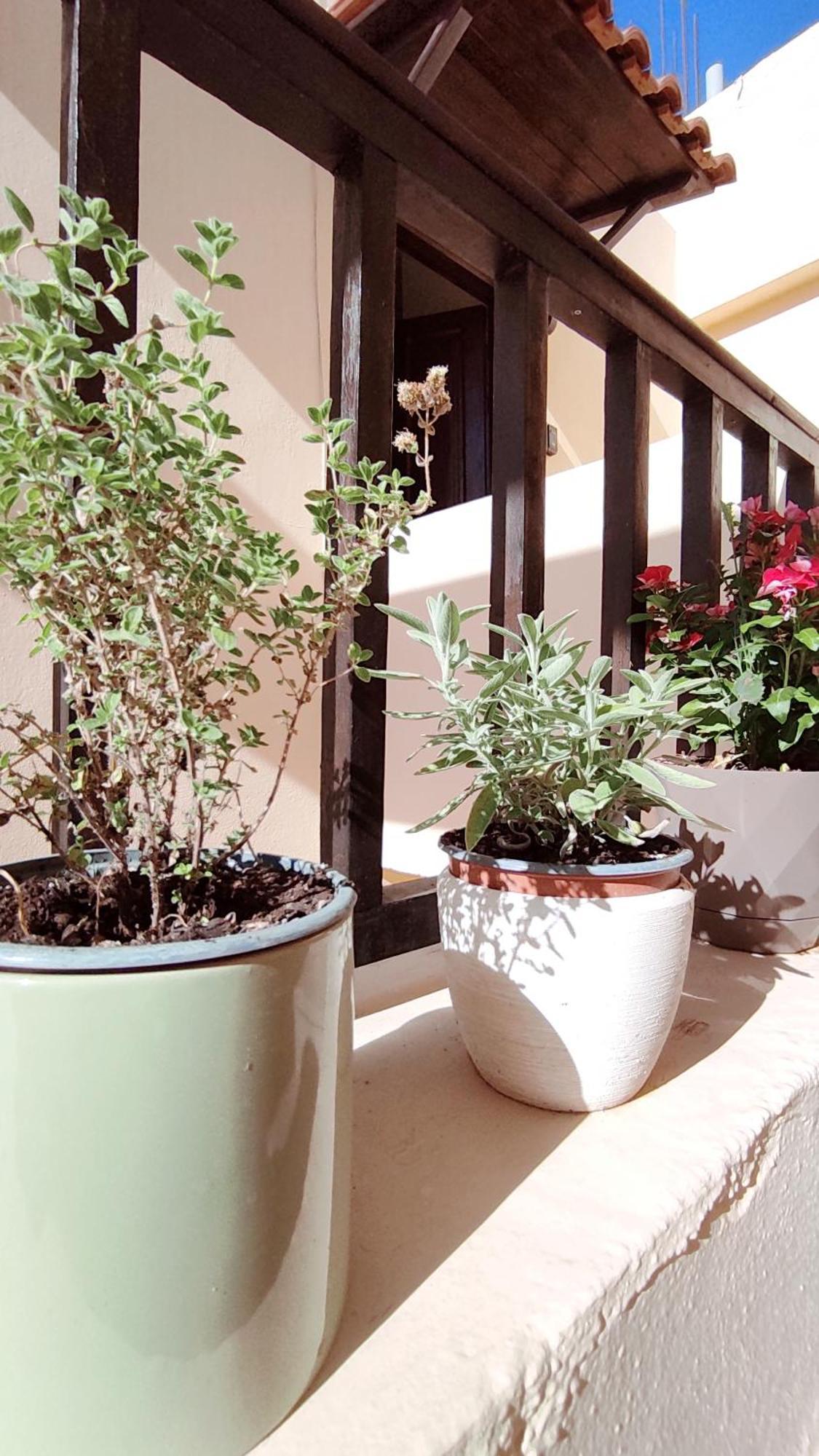 Dedalos N3 Sea View Apartment-30 Metres From The Beach Stalida エクステリア 写真